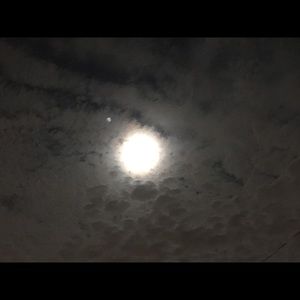 Meet your Posher, Micaya